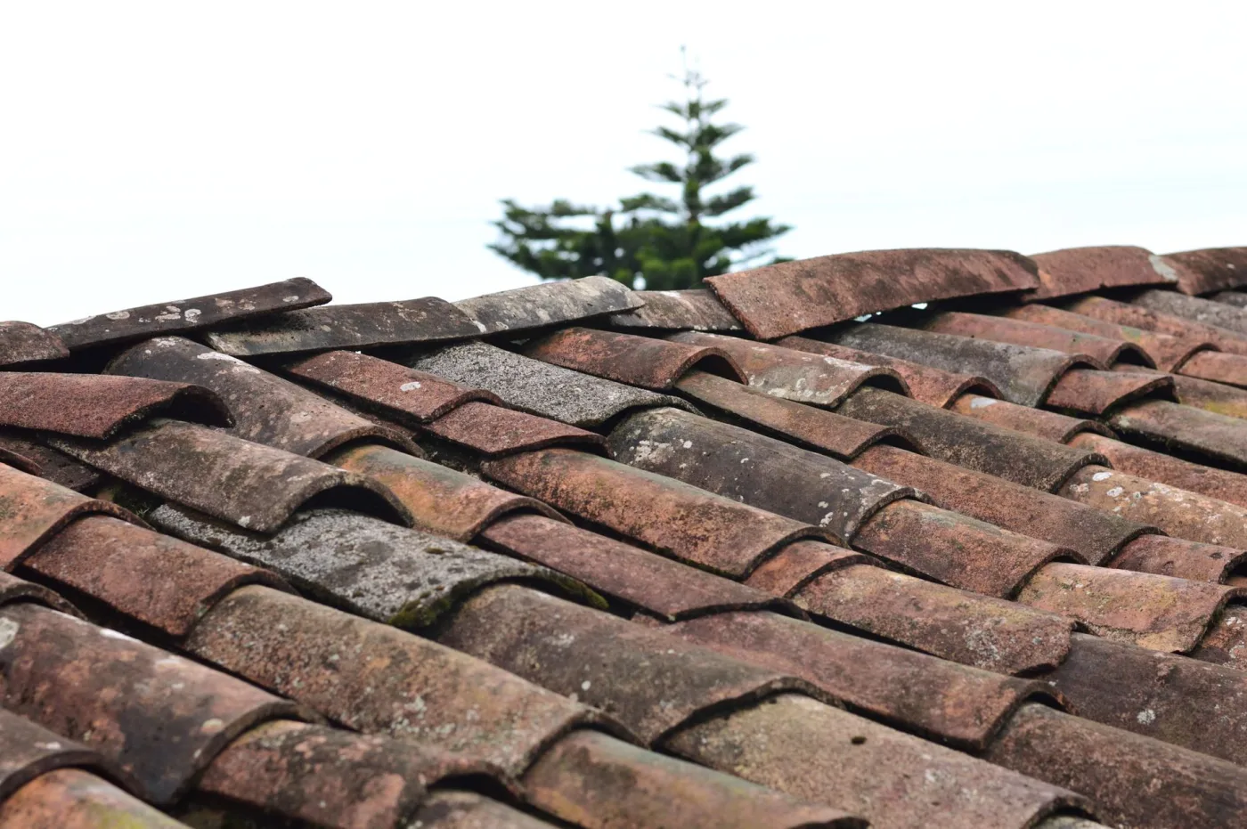 Fresh asphalt shingle roof on a metro Atlanta home