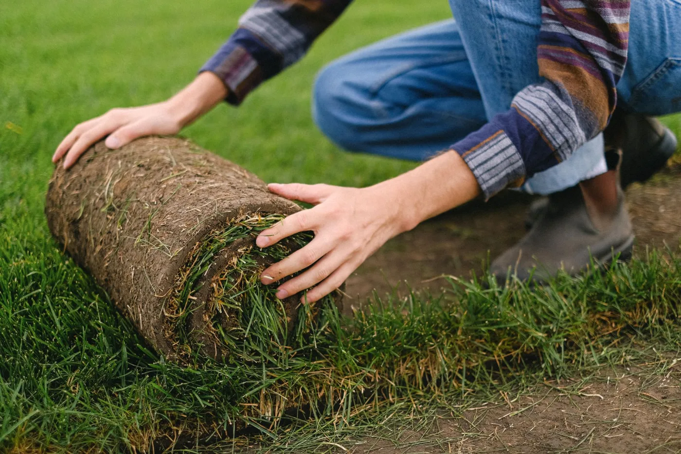 Hands laying a roll of fresh sod on prepared ground