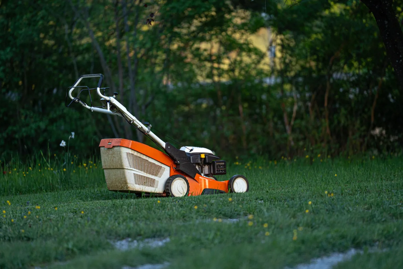 A lawn mower cutting a stripe into thick green grass
