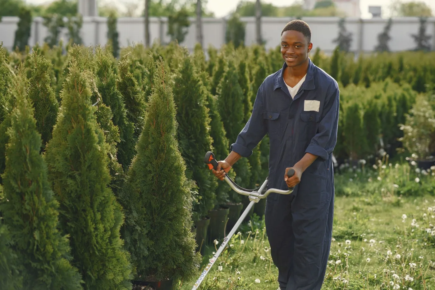 Flash Landscaping worker trimming with equipment near a row of hedges