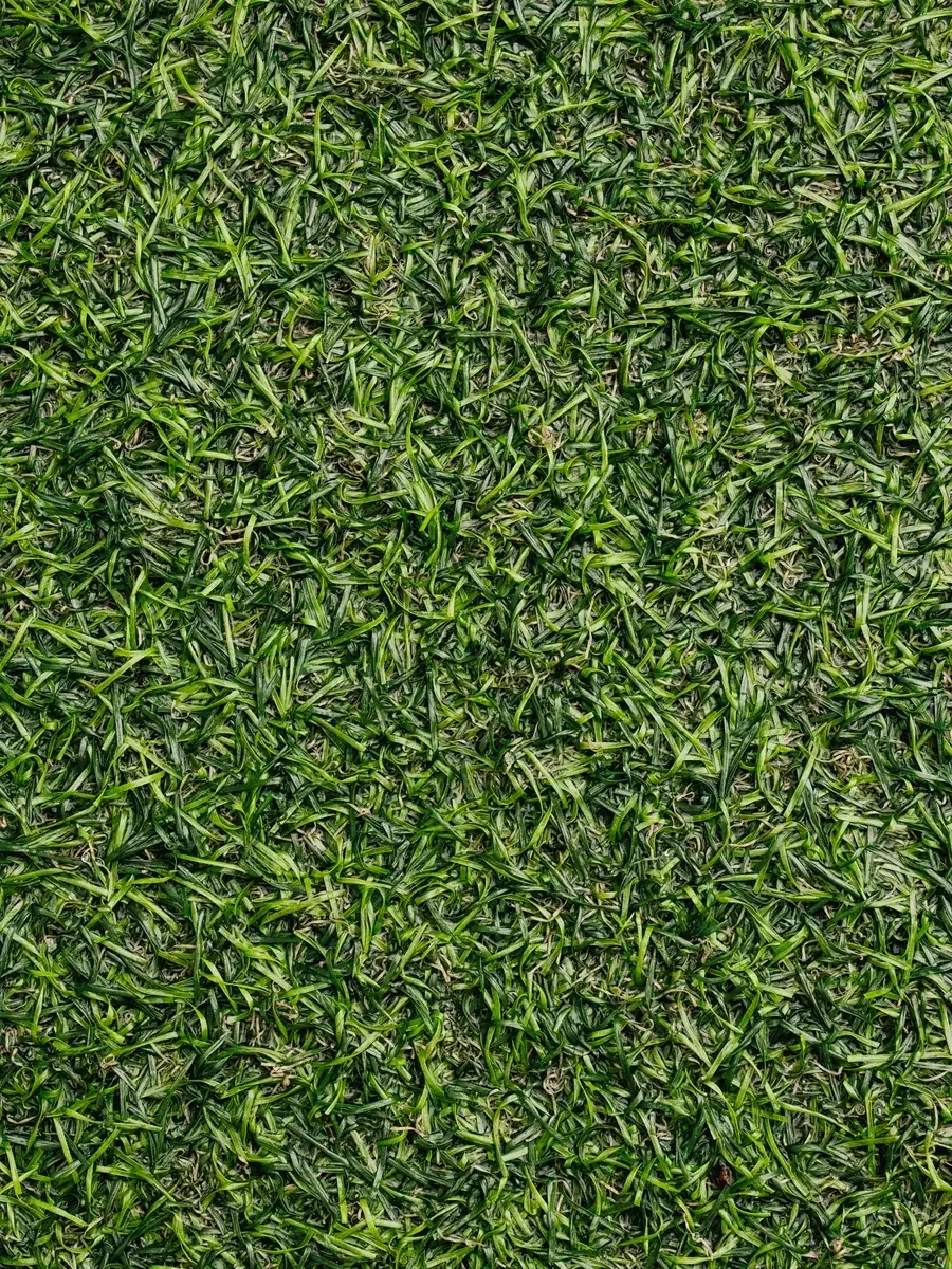 Seeding and overseeding