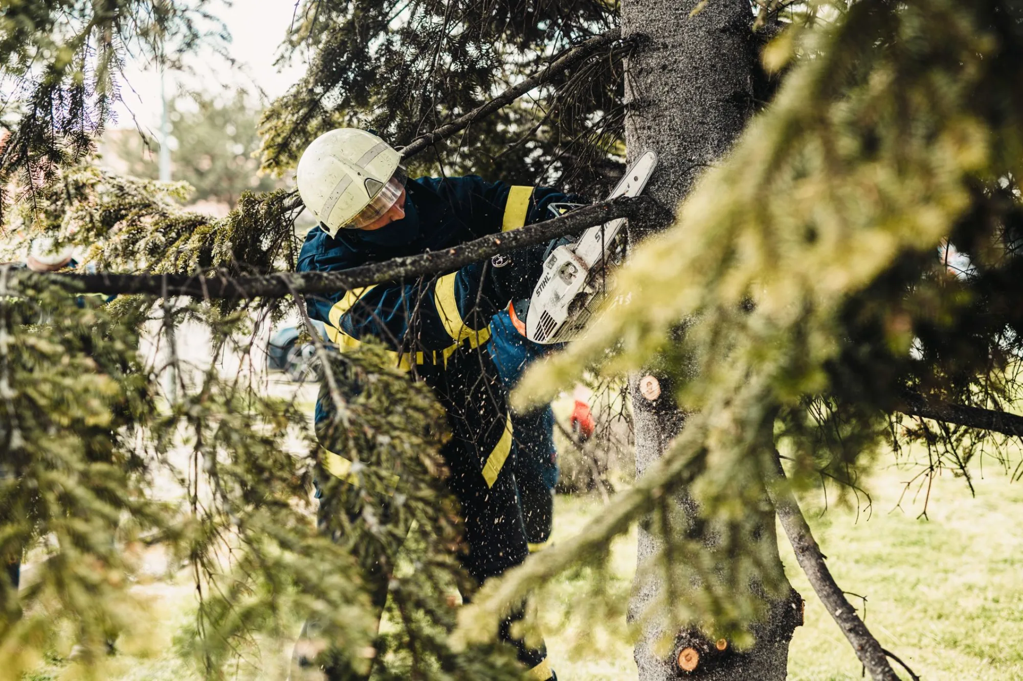 Arborist trimming a large shade tree in an Atlanta yard