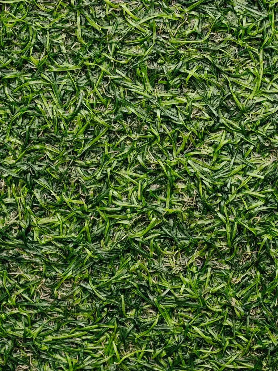 Lawn removal and replacement